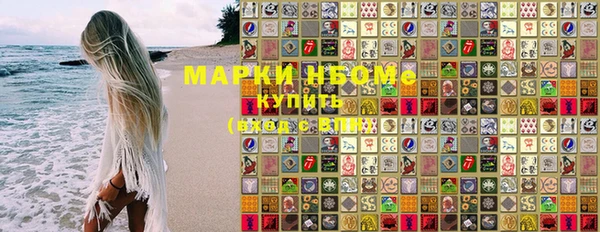 шишки Белокуриха