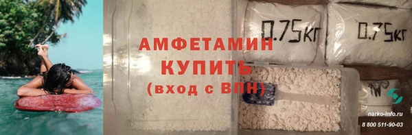 шишки Белокуриха