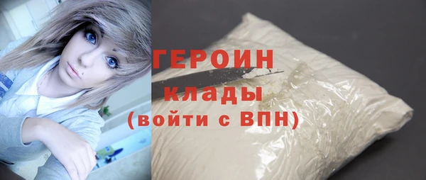 шишки Белокуриха
