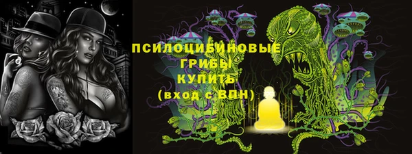 индика Балахна