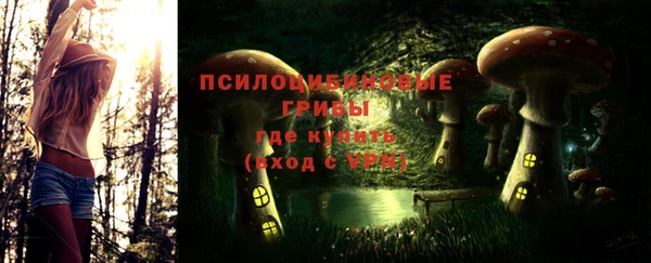 индика Балахна