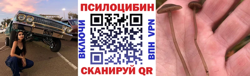 магазин  наркотиков  Кремёнки  Псилоцибиновые грибы GOLDEN TEACHER 